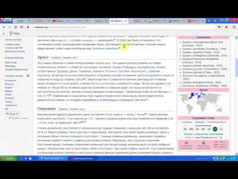 Видео о препарате Сквален акулий (Squalene) 1000мг капсулы 120шт